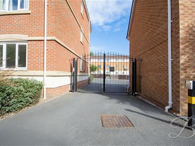 Picture 13
